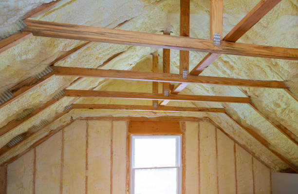Best Commercial Insulation in Colfax, IA