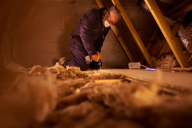 Best Insulation Maintenance and Repair in Colfax, IA